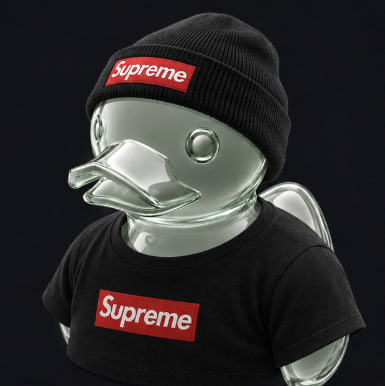 PonsDuckcommunity artwork 5